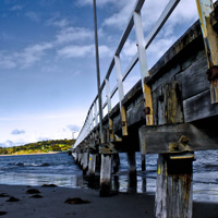 炸你妹在线轰炸