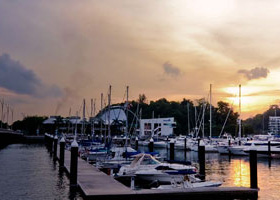 在线轰炸机电话软件