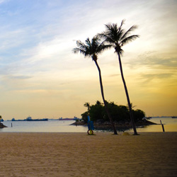 呼死你在线免费试用